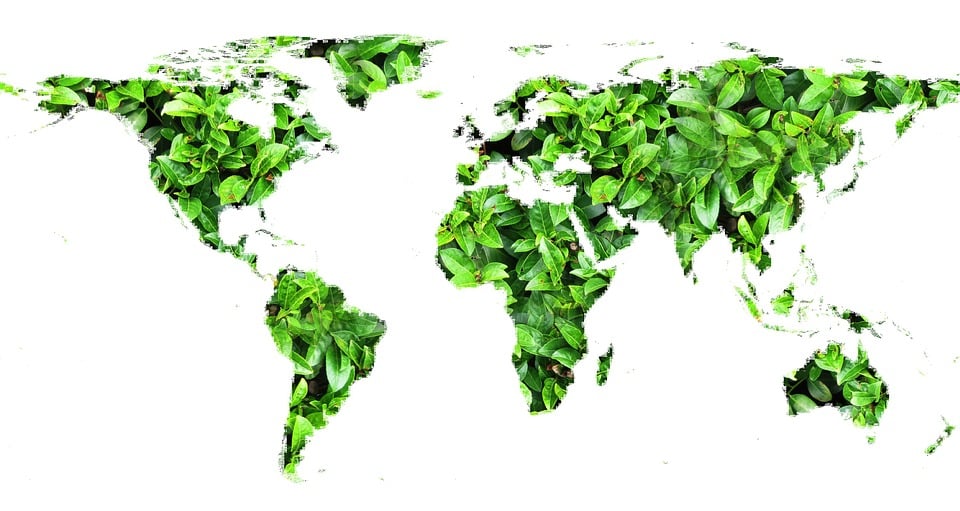 Worldwide green information